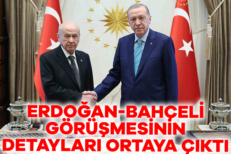 Erdoğan-Bahçeli görüşmesinin detayları ortaya çıktı: TBMM’de öncelik yeni anayasa