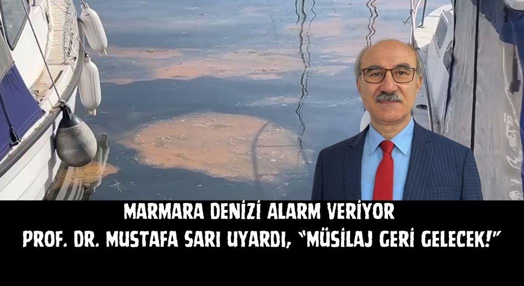 Marmara Denizi Alarm Veriyor: Prof. Dr. Mustafa Sarı uyardı, “Müsilaj Geri Gelecek!”