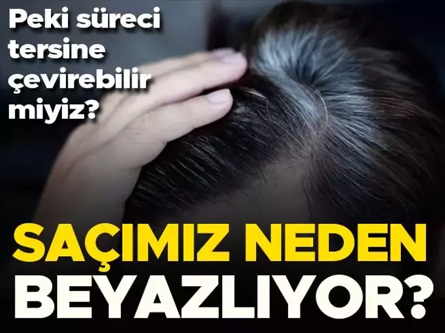 Saçlarımız neden beyazlıyor? Peki süreci tersine çevirebilir miyiz?